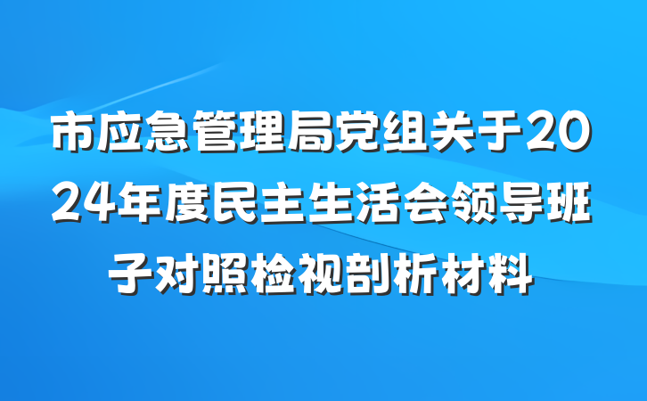 市应急管理局党组关于2024年度民主生活会领导班子对照检视剖析材料