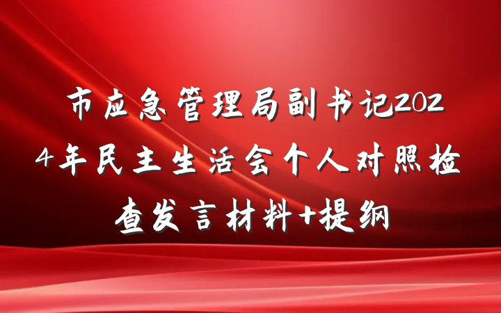 市应急管理局副书记2024年民主生活会个人对照检查发言材料 提纲