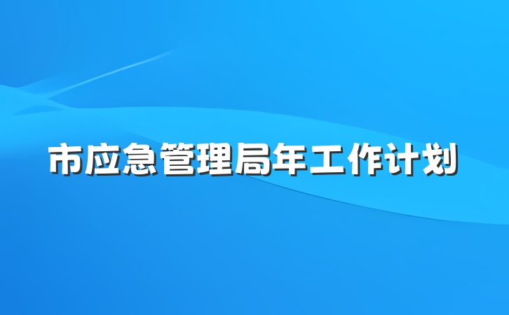 市应急管理局年工作计划