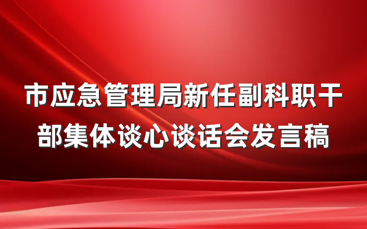 市应急管理局新任副科职干部集体谈心谈话会发言稿
