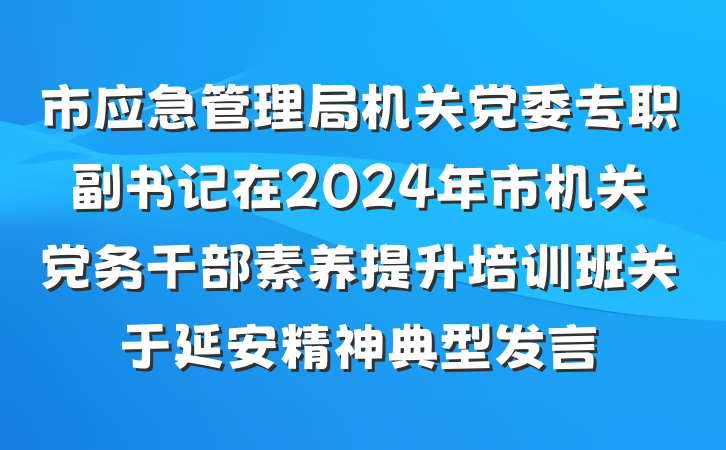 市应急管理局机关党委专职副书记在2024年市机关党务干部素养提升培训班关于延安精神典型发言