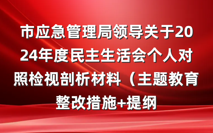 市应急管理局领导关于2024年度民主生活会个人对照检视剖析材料（主题教育整改措施 提纲