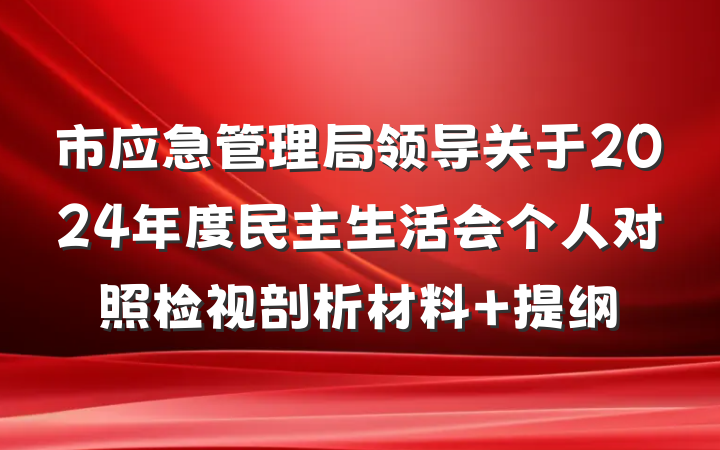 市应急管理局领导关于2024年度民主生活会个人对照检视剖析材料 提纲