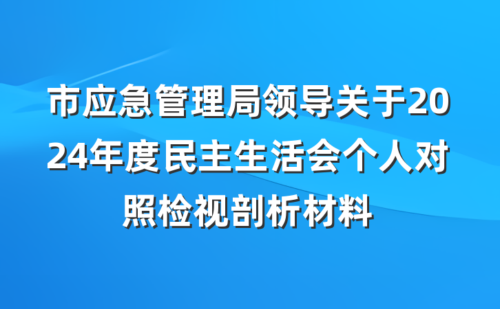 市应急管理局领导关于2024年度民主生活会个人对照检视剖析材料