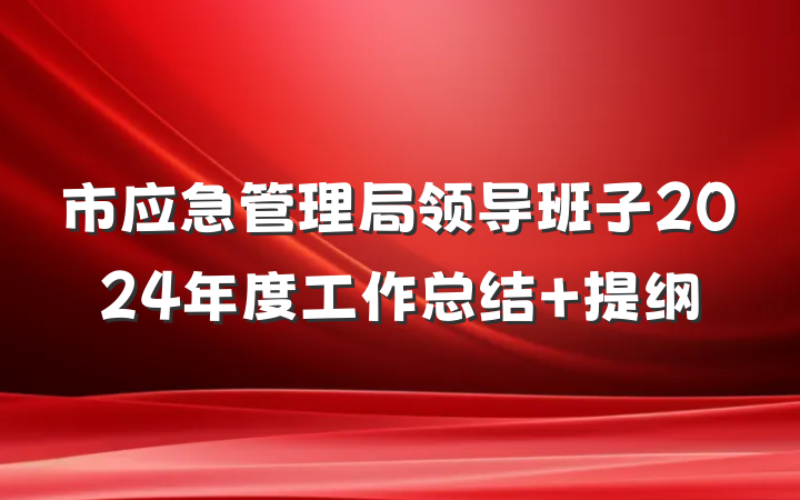 市应急管理局领导班子2024年度工作总结 提纲
