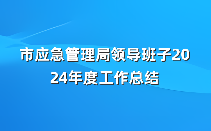市应急管理局领导班子2024年度工作总结