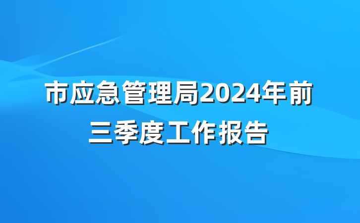 市应急管理局2024年前三季度工作报告