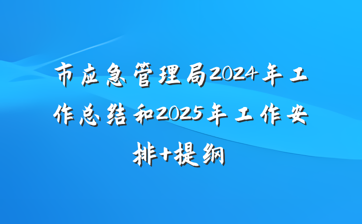 市应急管理局2024年工作总结和2025年工作安排 提纲