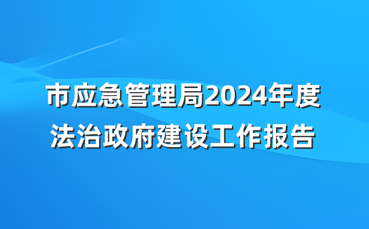 市应急管理局2024年度法治政府建设工作报告