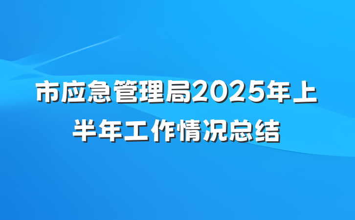 市应急管理局2025年上半年工作情况总结