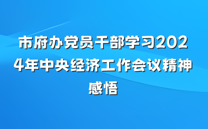 市府办党员干部学习2024年中央经济工作会议精神感悟