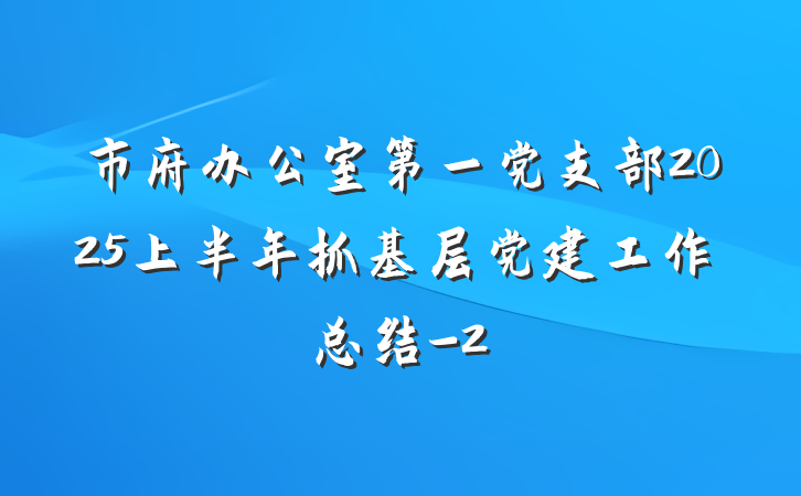 市府办公室第一党支部2025上半年抓基层党建工作总结-2