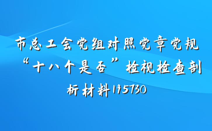 市总工会党组对照党章党规“十八个是否”检视检查剖析材料195730