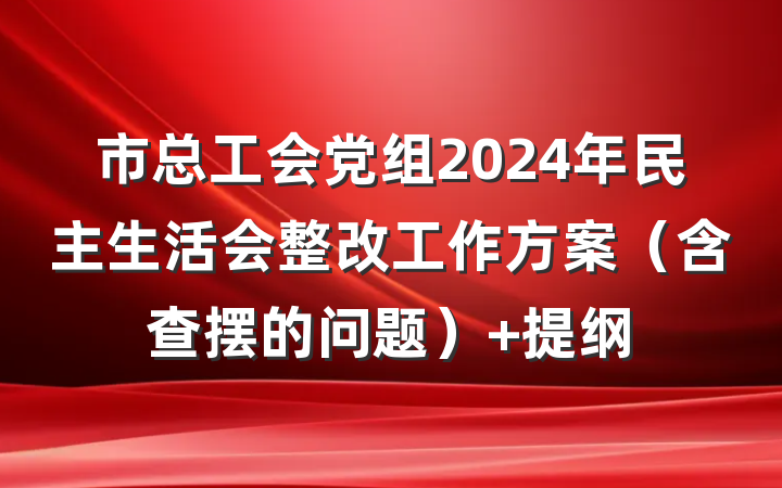 市总工会党组2024年民主生活会整改工作方案（含查摆的问题） 提纲