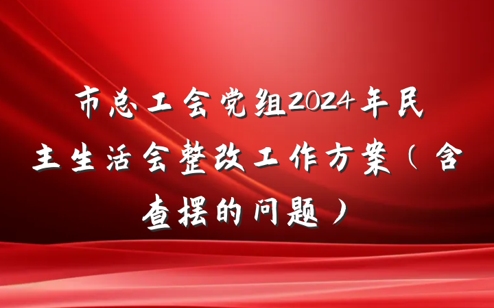 市总工会党组2024年民主生活会整改工作方案（含查摆的问题）