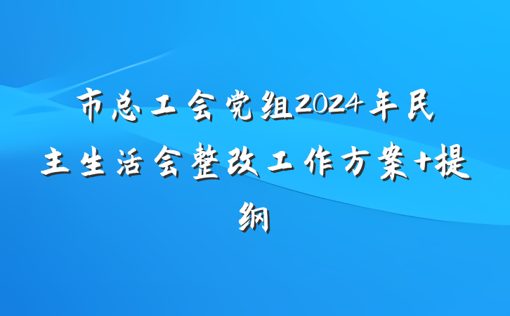 市总工会党组2024年民主生活会整改工作方案 提纲