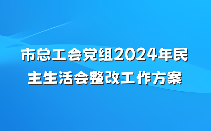 市总工会党组2024年民主生活会整改工作方案