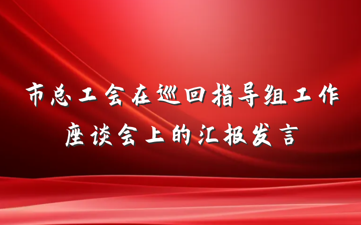 市总工会在巡回指导组工作座谈会上的汇报发言