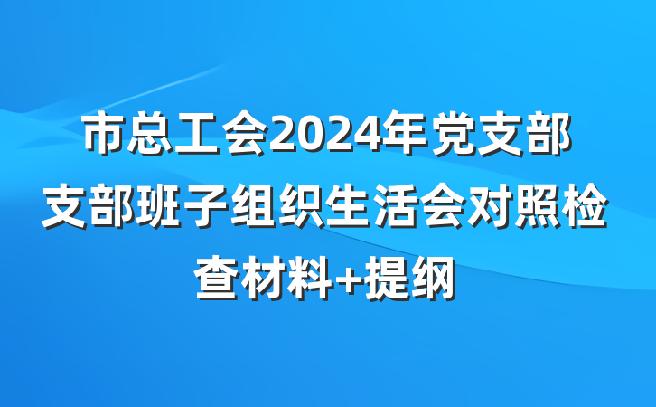市总工会2024年党支部支部班子组织生活会对照检查材料 提纲