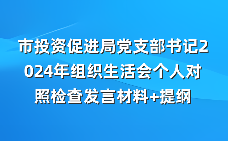 市投资促进局党支部书记2024年组织生活会个人对照检查发言材料 提纲