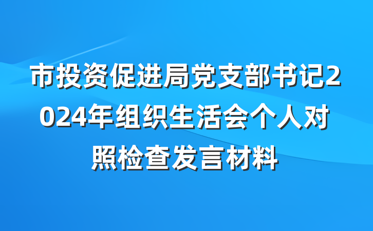 市投资促进局党支部书记2024年组织生活会个人对照检查发言材料