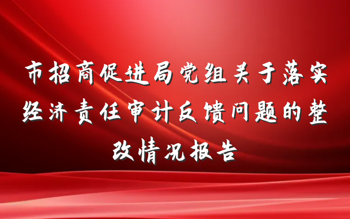 市招商促进局党组关于落实经济责任审计反馈问题的整改情况报告