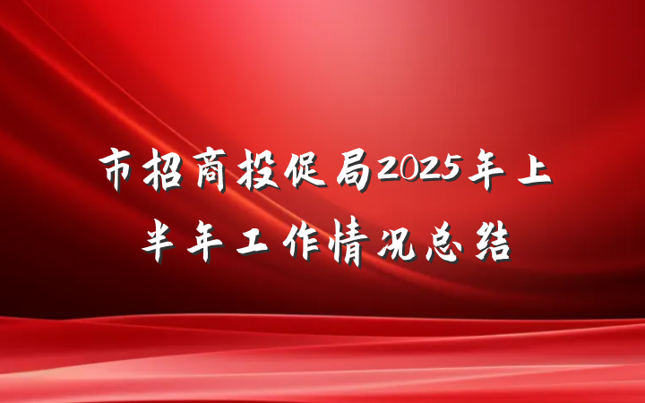 市招商投促局2025年上半年工作情况总结