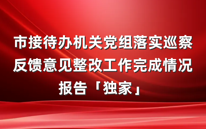 市接待办机关党组落实巡察反馈意见整改工作完成情况报告「独家」