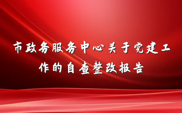 市政务服务中心关于党建工作的自查整改报告