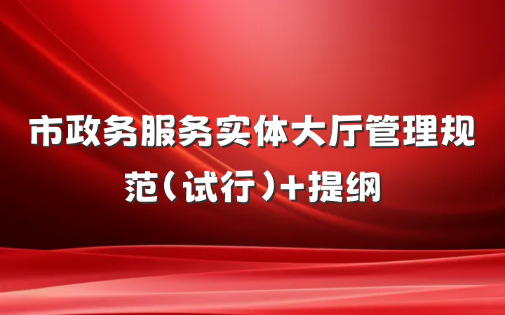市政务服务实体大厅管理规范（试行） 提纲