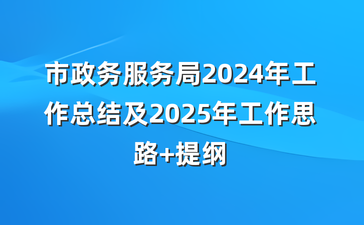 市政务服务局2024年工作总结及2025年工作思路 提纲