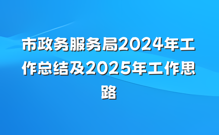 市政务服务局2024年工作总结及2025年工作思路
