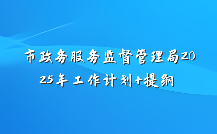 市政务服务监督管理局2025年工作计划 提纲