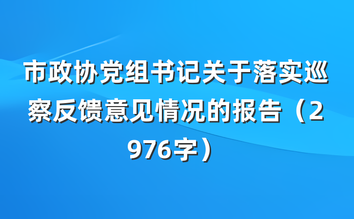 市政协党组书记关于落实巡察反馈意见情况的报告（2976字）