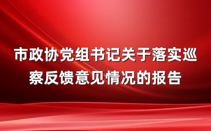 市政协党组书记关于落实巡察反馈意见情况的报告