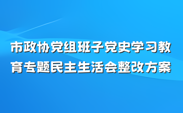 市政协党组班子党史学习教育专题民主生活会整改方案