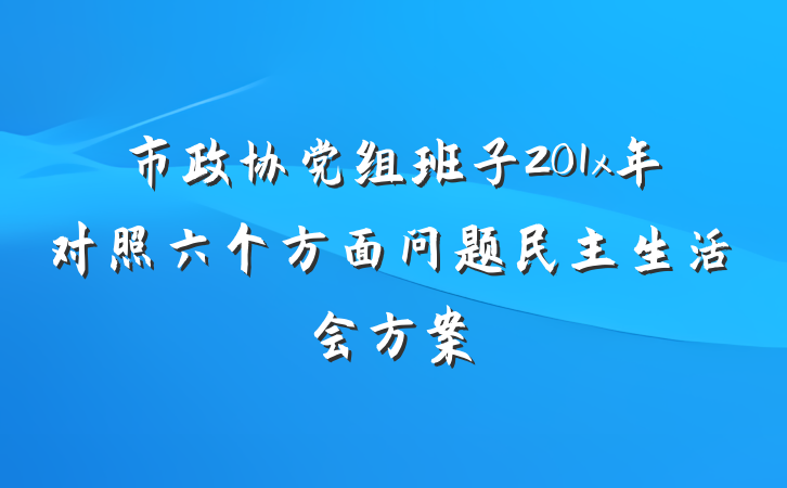 市政协党组班子201x年对照六个方面问题民主生活会方案