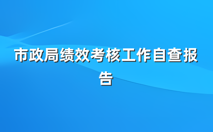 市政局绩效考核工作自查报告