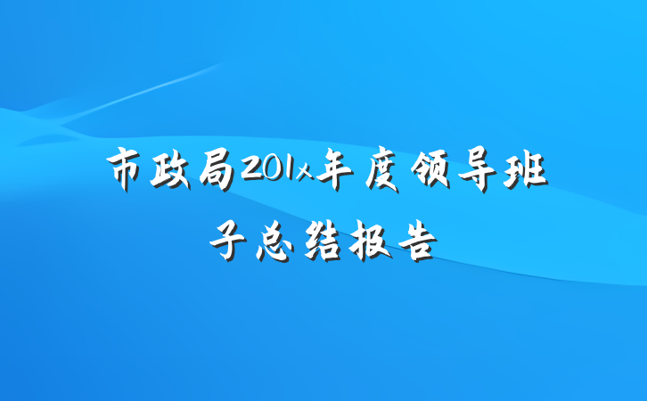 市政局201x年度领导班子总结报告