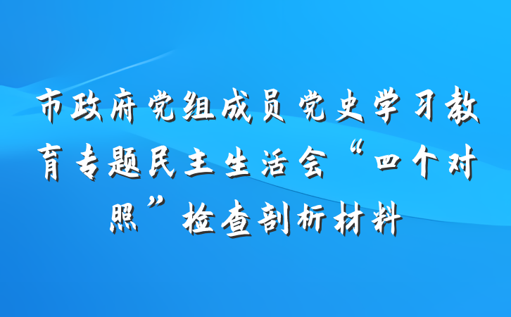市政府党组成员党史学习教育专题民主生活会“四个对照”检查剖析材料
