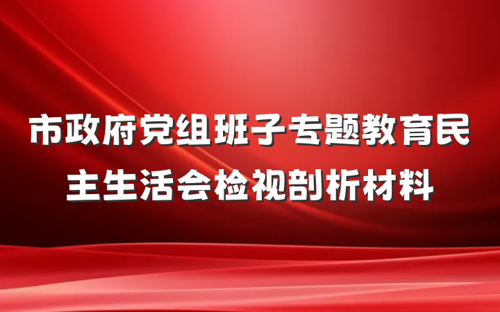 市政府党组班子专题教育民主生活会检视剖析材料