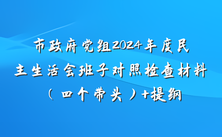 市政府党组2024年度民主生活会班子对照检查材料（四个带头） 提纲