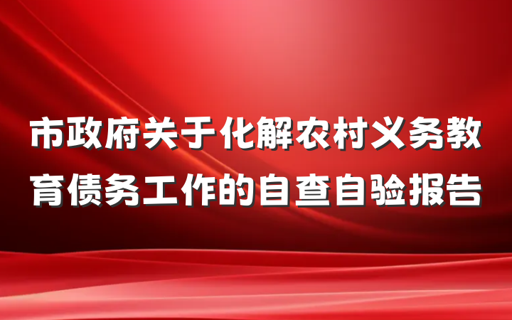 市政府关于化解农村义务教育债务工作的自查自验报告