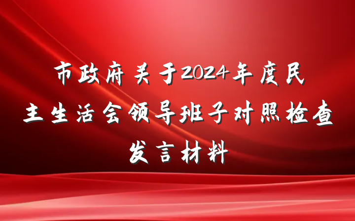 市政府关于2024年度民主生活会领导班子对照检查发言材料
