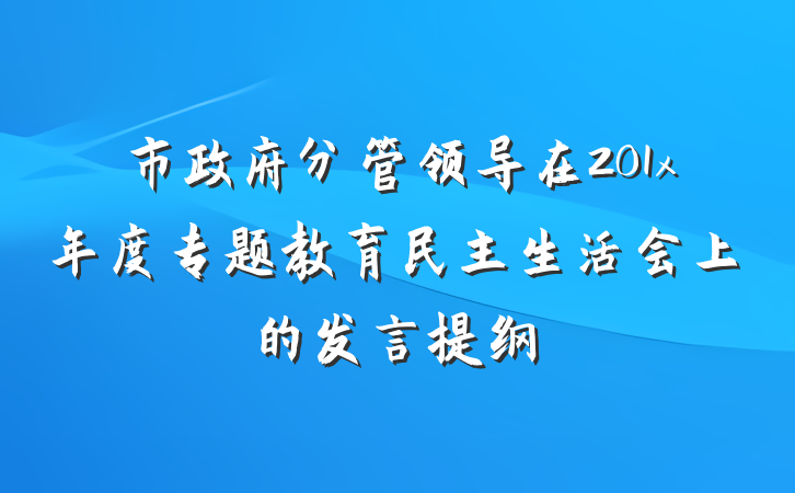 市政府分管领导在201x年度专题教育民主生活会上的发言提纲
