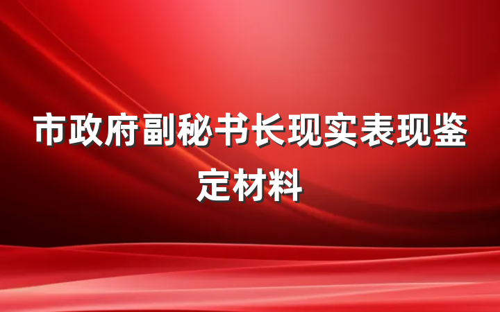 市政府副秘书长现实表现鉴定材料