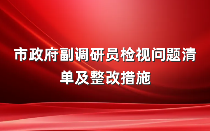 市政府副调研员检视问题清单及整改措施