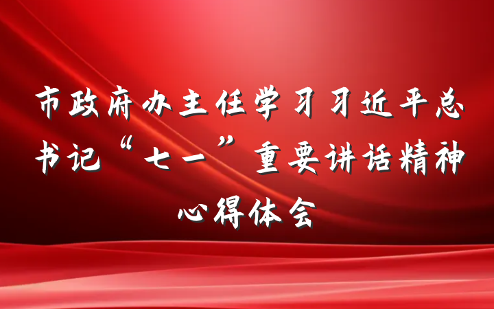 市政府办主任学习习近平总书记“七一”重要讲话精神心得体会