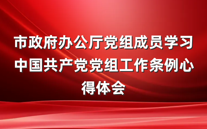 市政府办公厅党组成员学习中国共产党党组工作条例心得体会