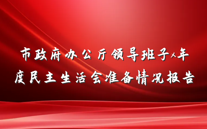 市政府办公厅领导班子x年度民主生活会准备情况报告